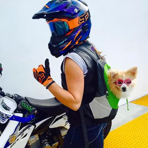 Dog and Trainer on a motorbike
